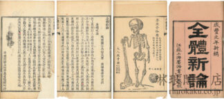 全体新論
