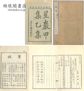 星巌集