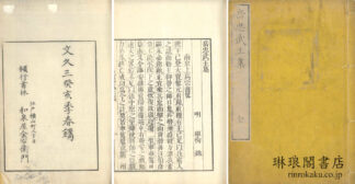 岳忠武王集